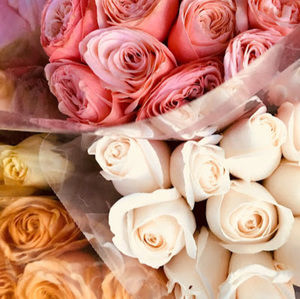 Meet your Posher, Beauty